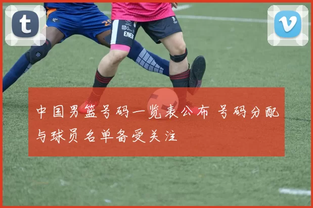 中国男篮号码一览表公布 号码分配与球员名单备受关注