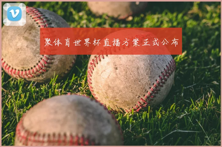 聚体育世界杯直播方案正式公布