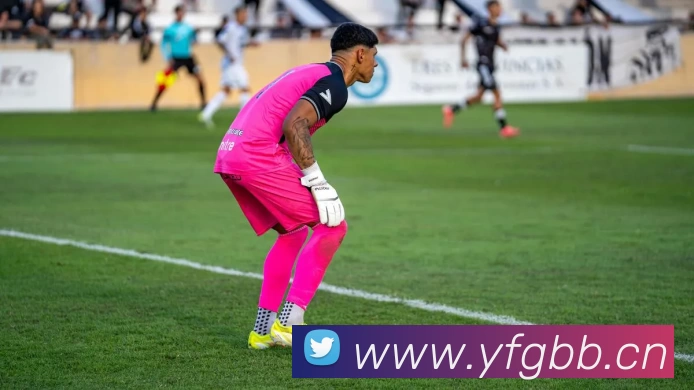 压球首页平台生态图